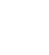 NetzForce Logo-1